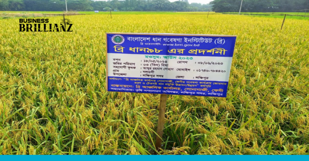 Government Offers Tk 64Cr Incentive to Boost Aush Cultivation