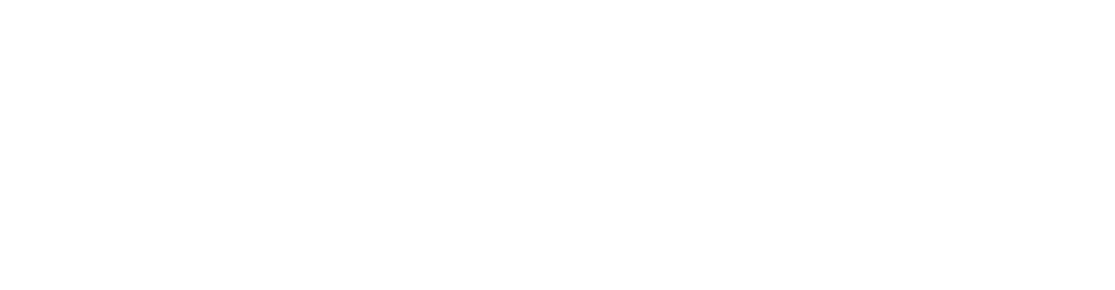 Business Brillianz